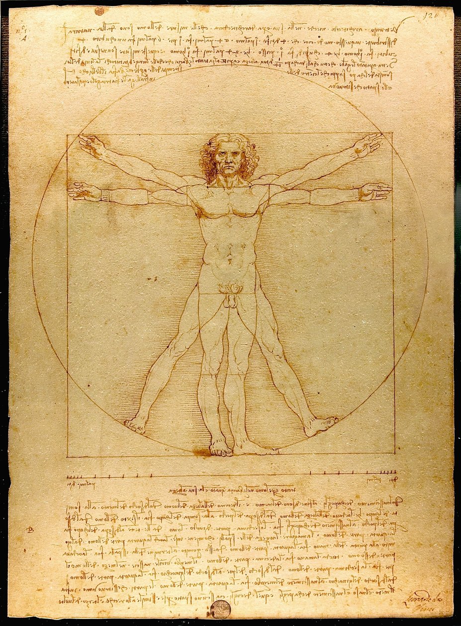 Vitruvian Man by Leonardo da Vinci