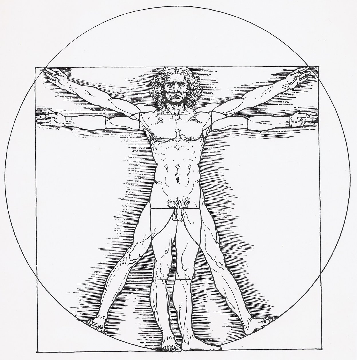 Vitruvian Man by Leonardo da Vinci