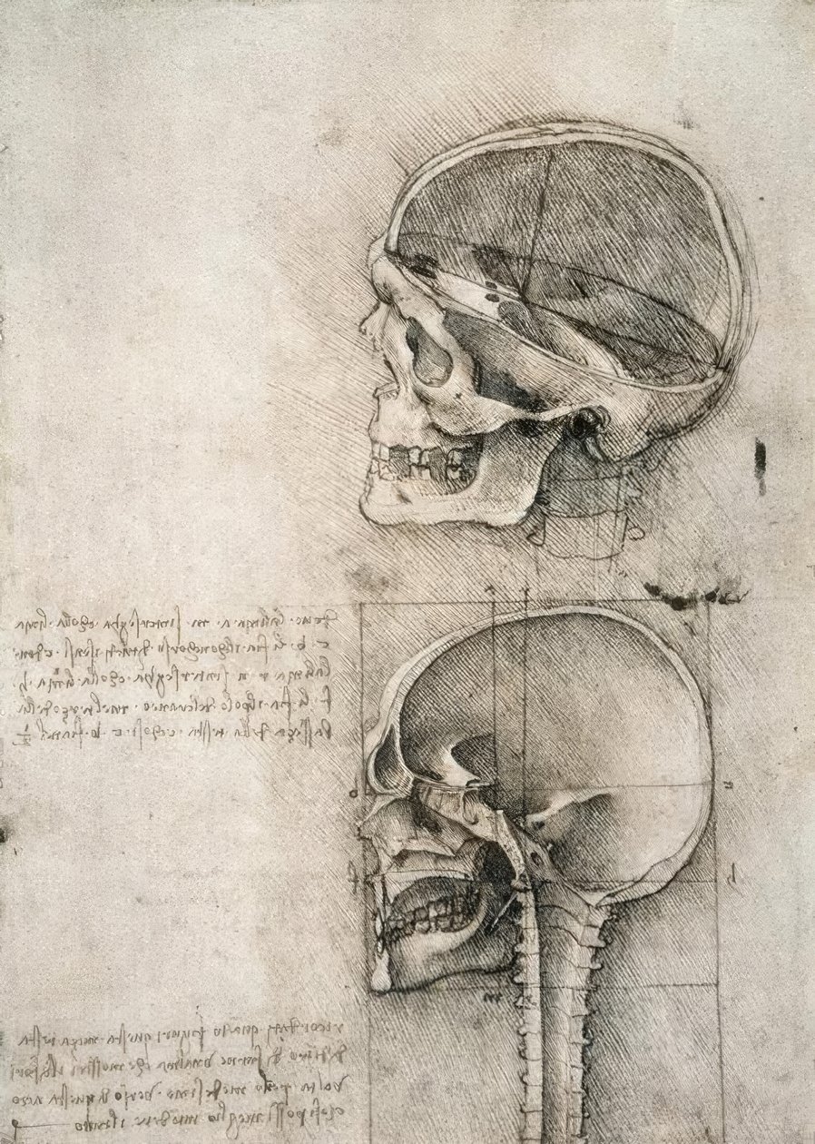 Common Sense by Leonardo da Vinci