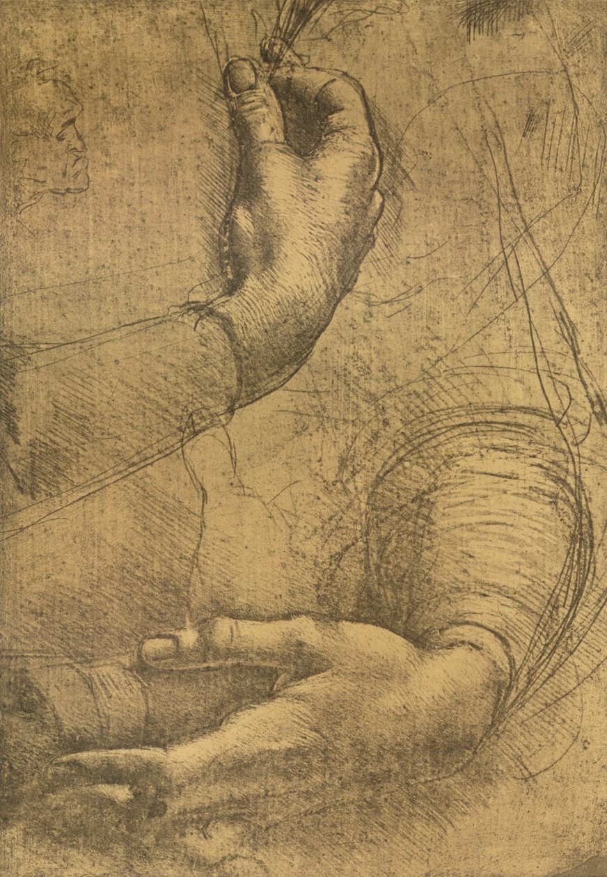 Study of Female Hands by Leonardo da Vinci