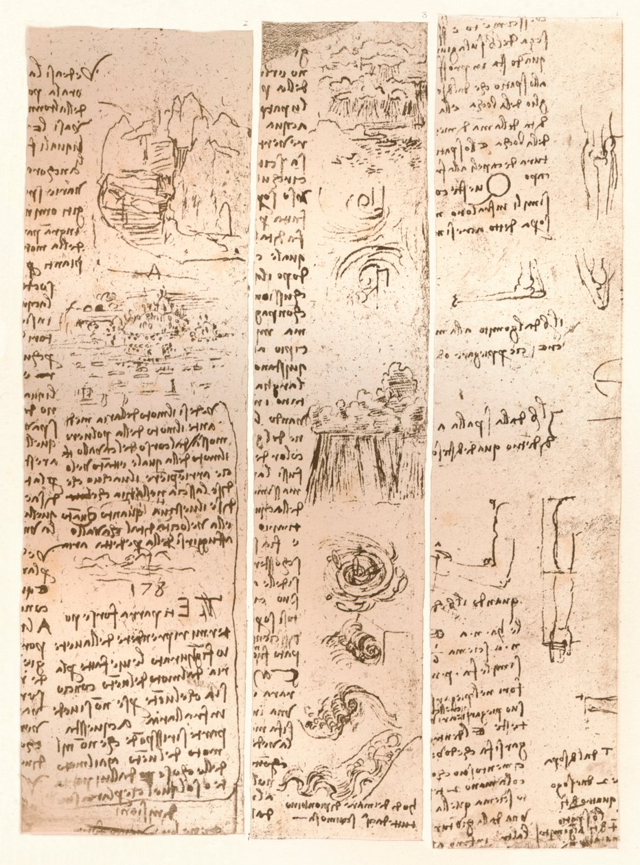 Three drawings, c1472-c1519 by Leonardo da Vinci