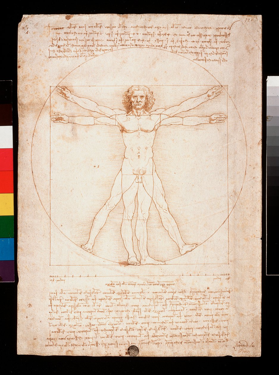 Vitruvian Man by Leonardo da Vinci