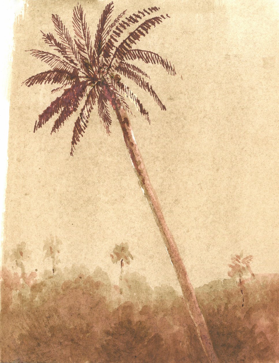 Palm Tree, 2015 by Lincoln Seligman