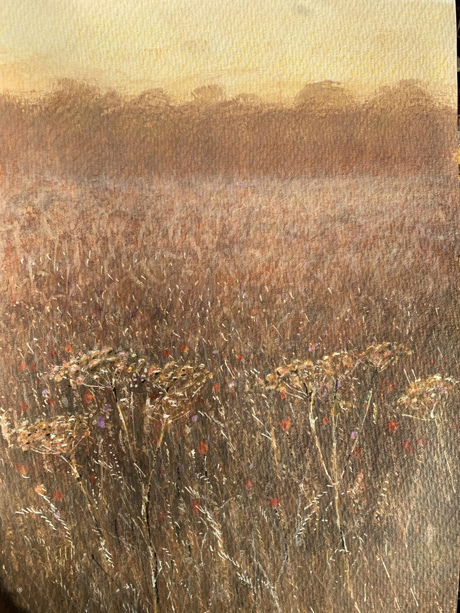Bean Field Dusk by Lincoln Seligman