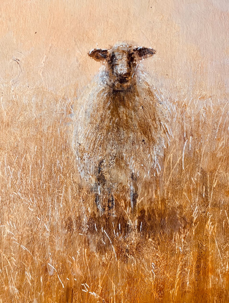 Favourite Ewe by Lincoln Seligman