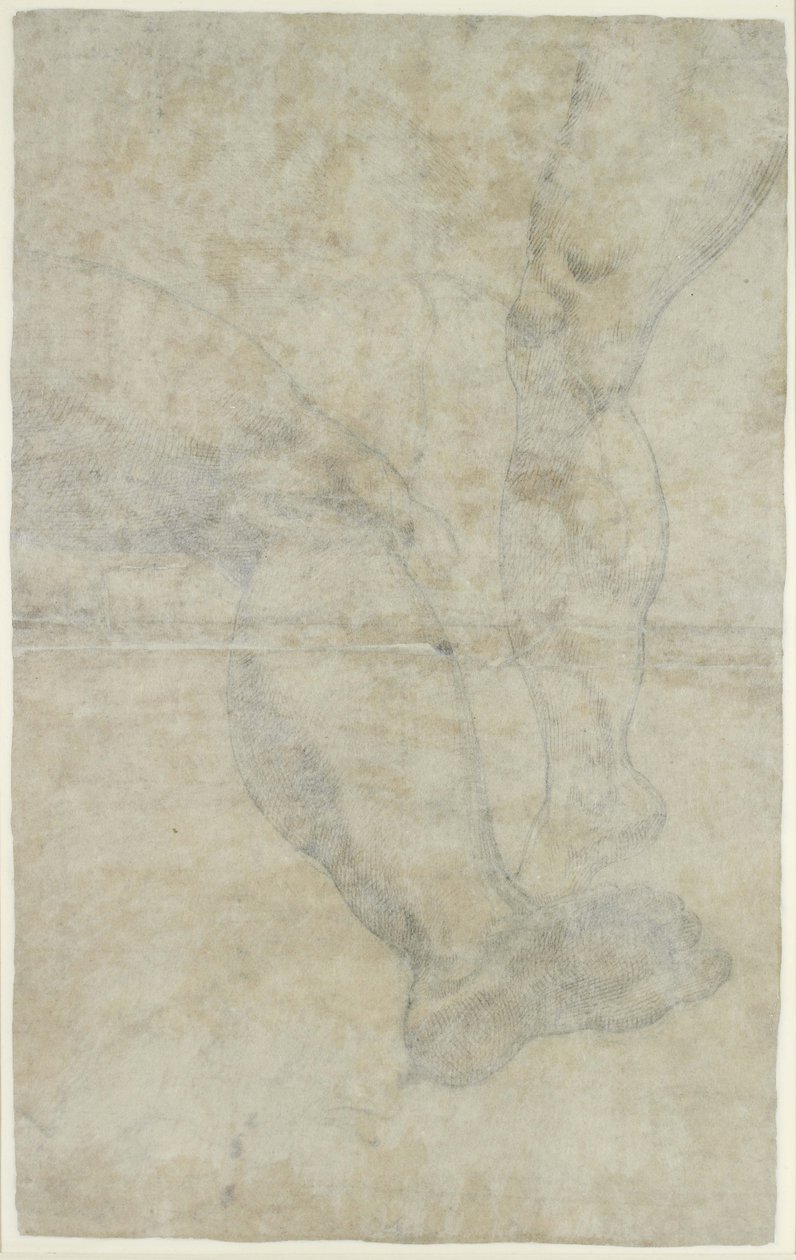 Studies of two pairs of legs by Lodovico Carracci