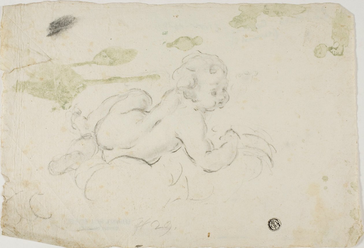 Putto by Lodovico Carracci