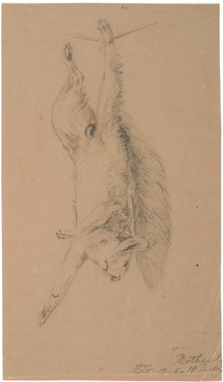 A Hung Dead Squirrel by Lorenz Frølich