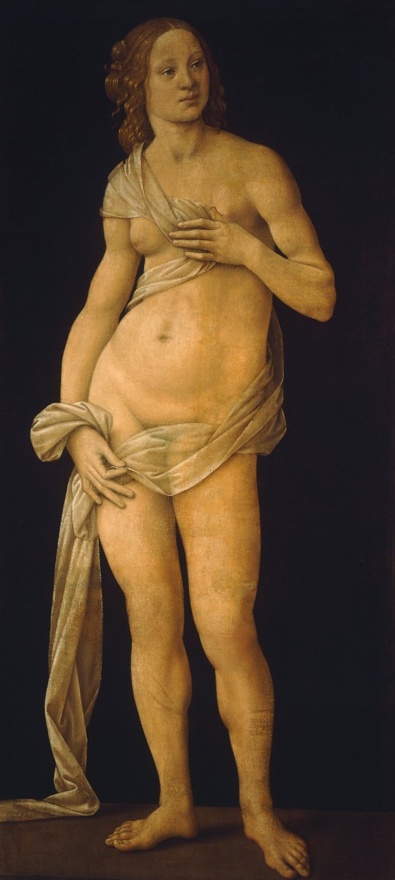 Venus by Lorenzo di Credi