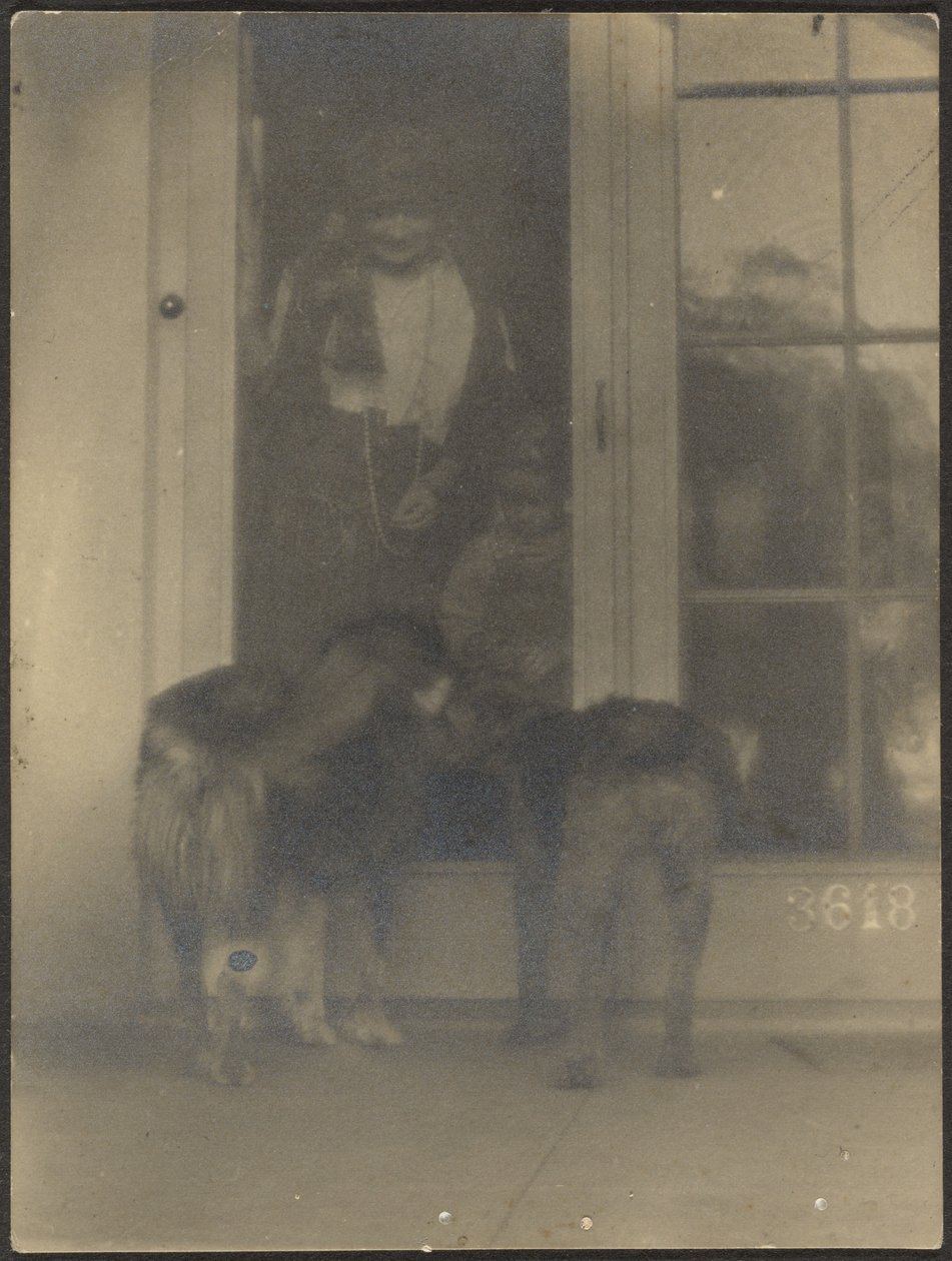 Dogs at Door by Louis Fleckenstein