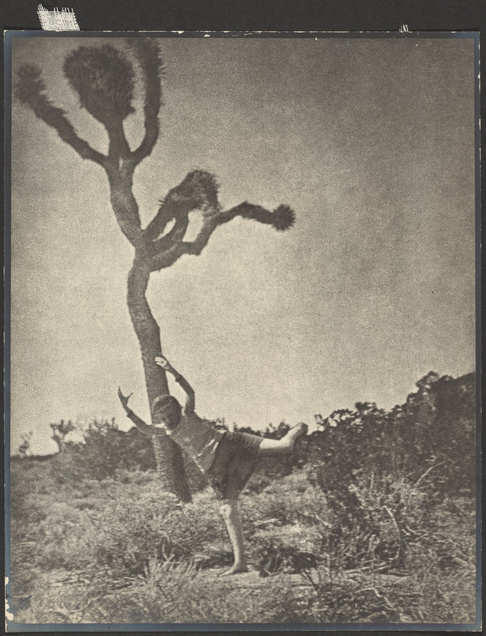 Lithe and Graceful - Dancing Joshua by Louis Fleckenstein