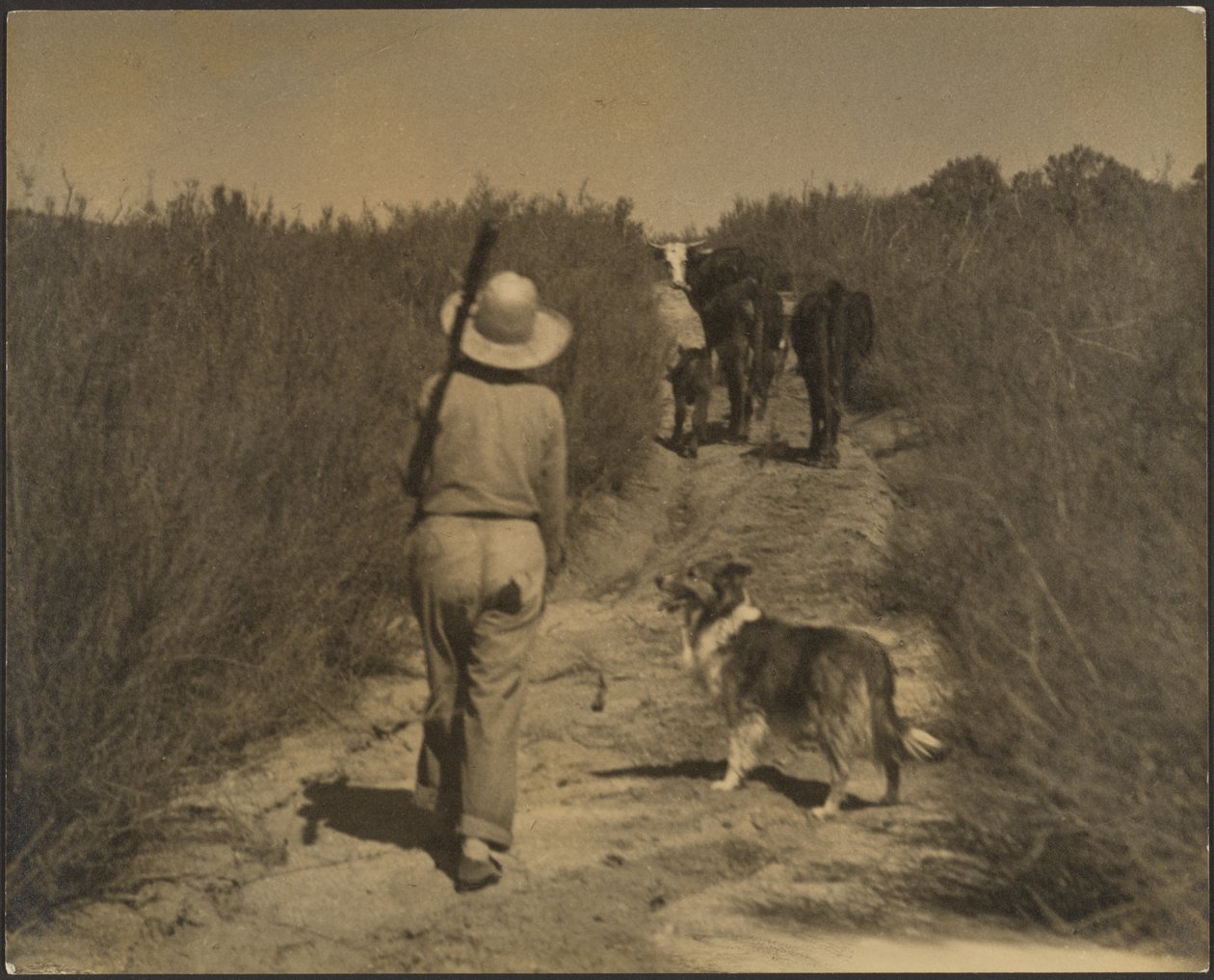 On a Desert Range by Louis Fleckenstein