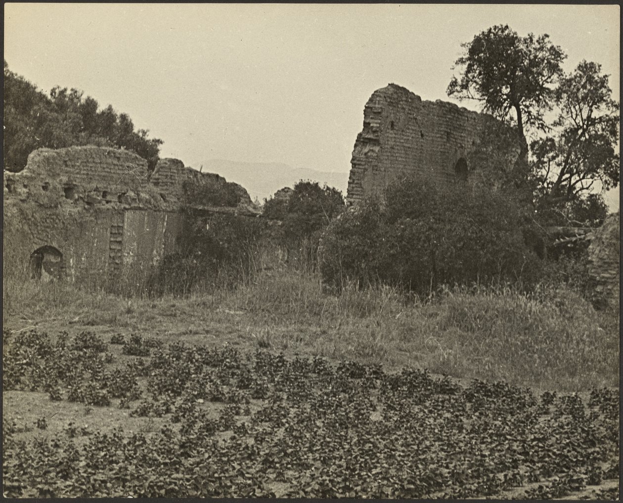Ruins of Mission Purisima Concepcion by Louis Fleckenstein