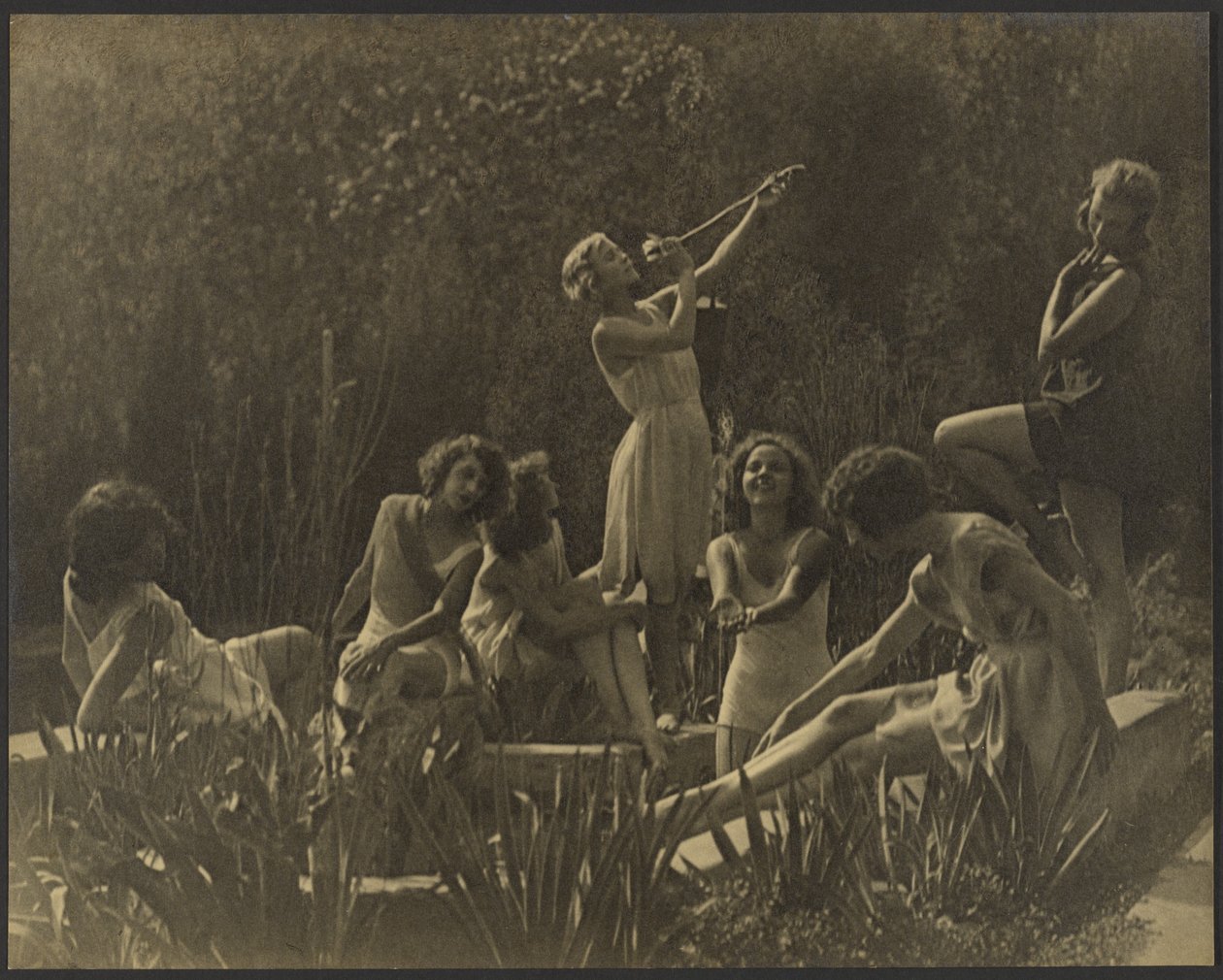 Water Lilies by Louis Fleckenstein