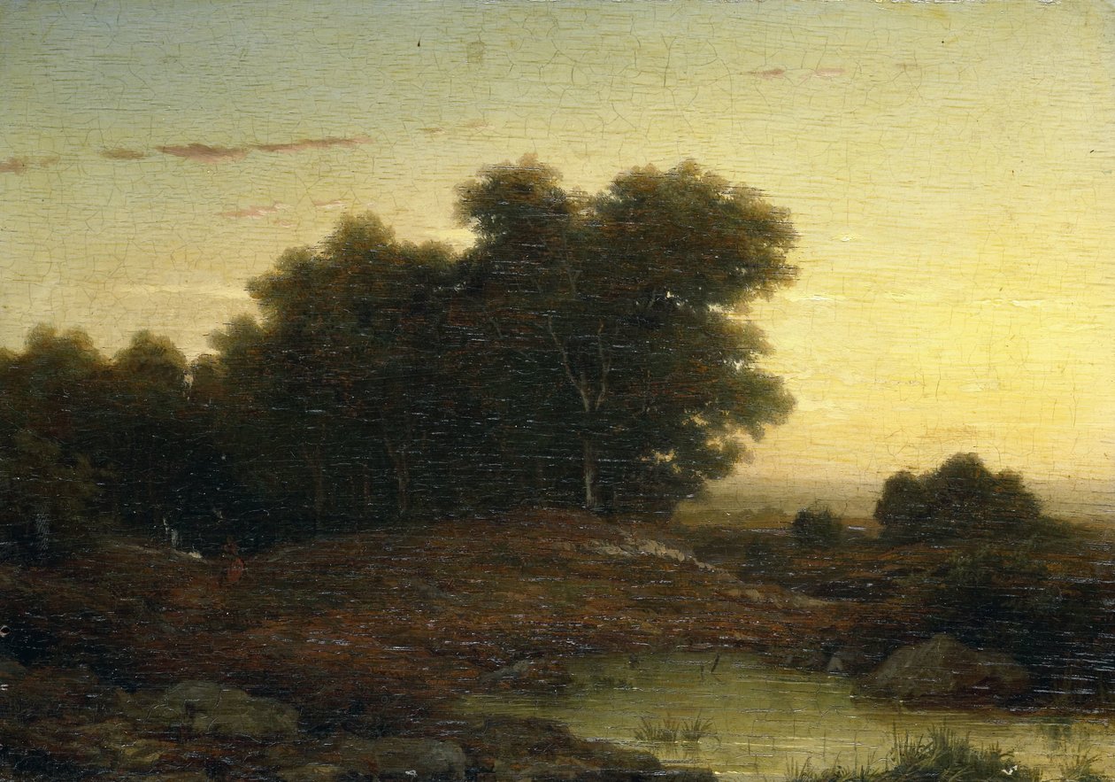 View in the Woods at Sunset by Louwrens Hanedoes