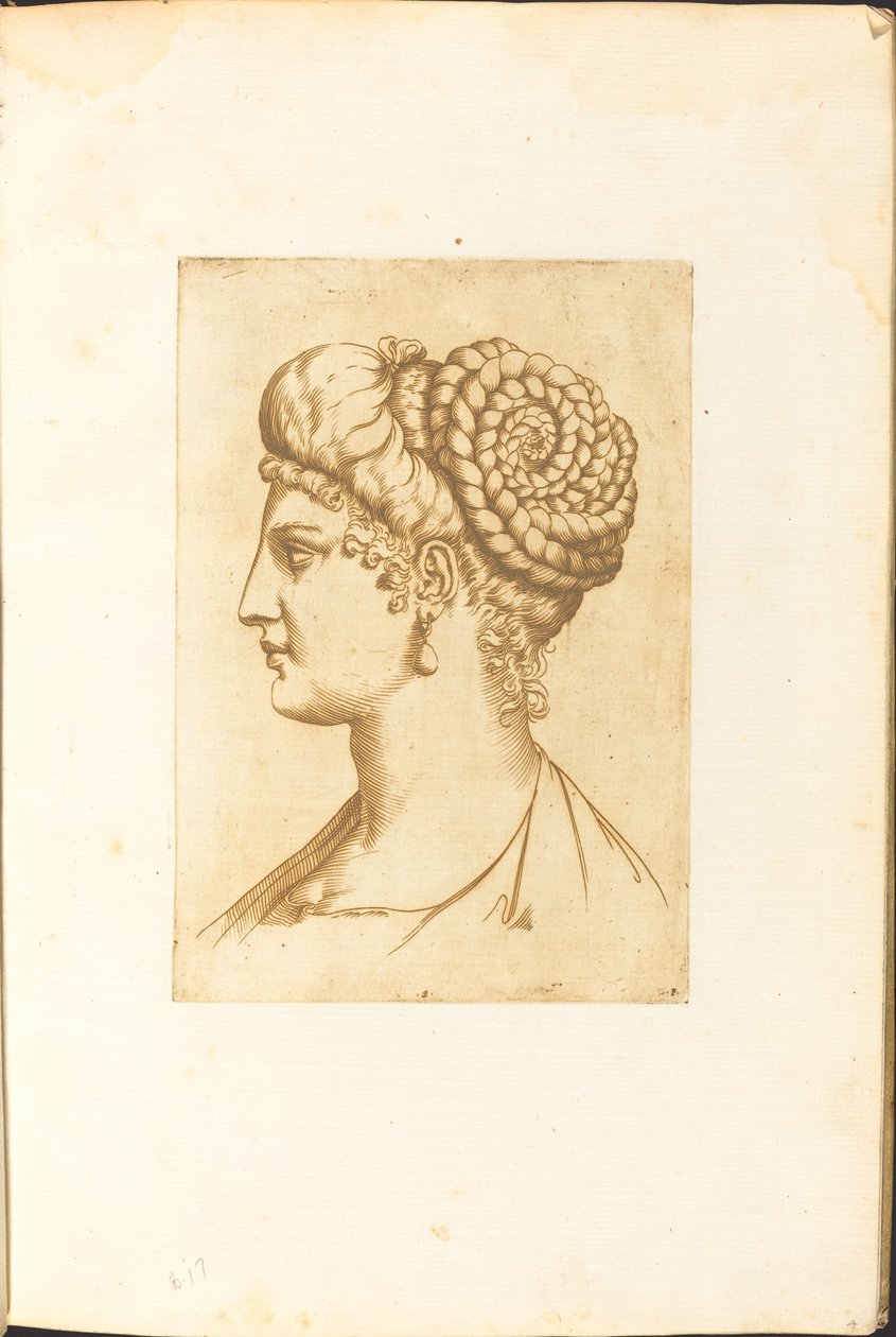 Print from Drawing Book by Luca Ciamberlano