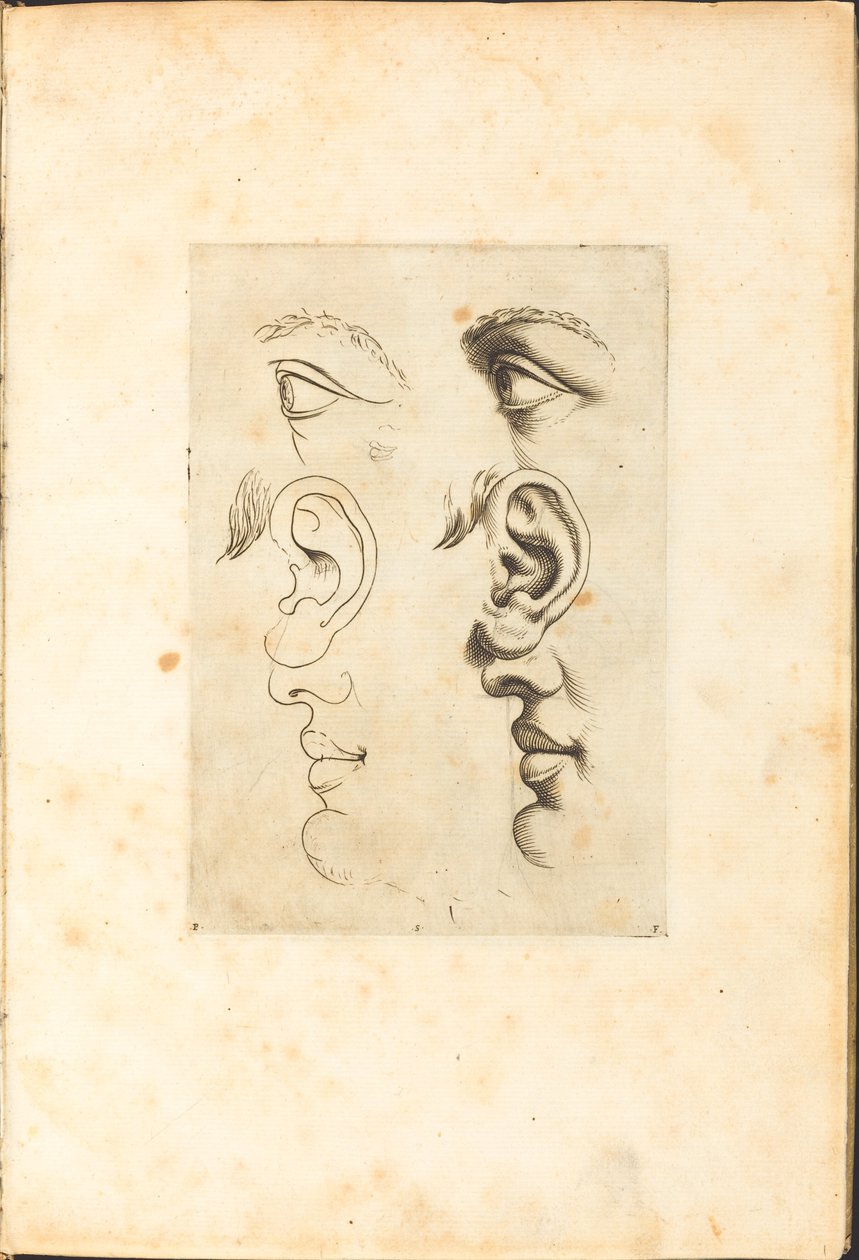 Print from Drawing Book by Luca Ciamberlano