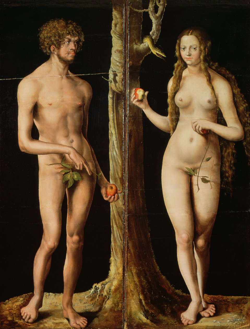 Adam and Eve by Lucas Cranach the Elder