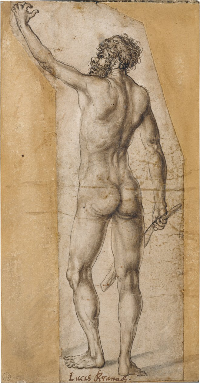 Study of a Standing Man (Back View) by Lucas Cranach the Elder