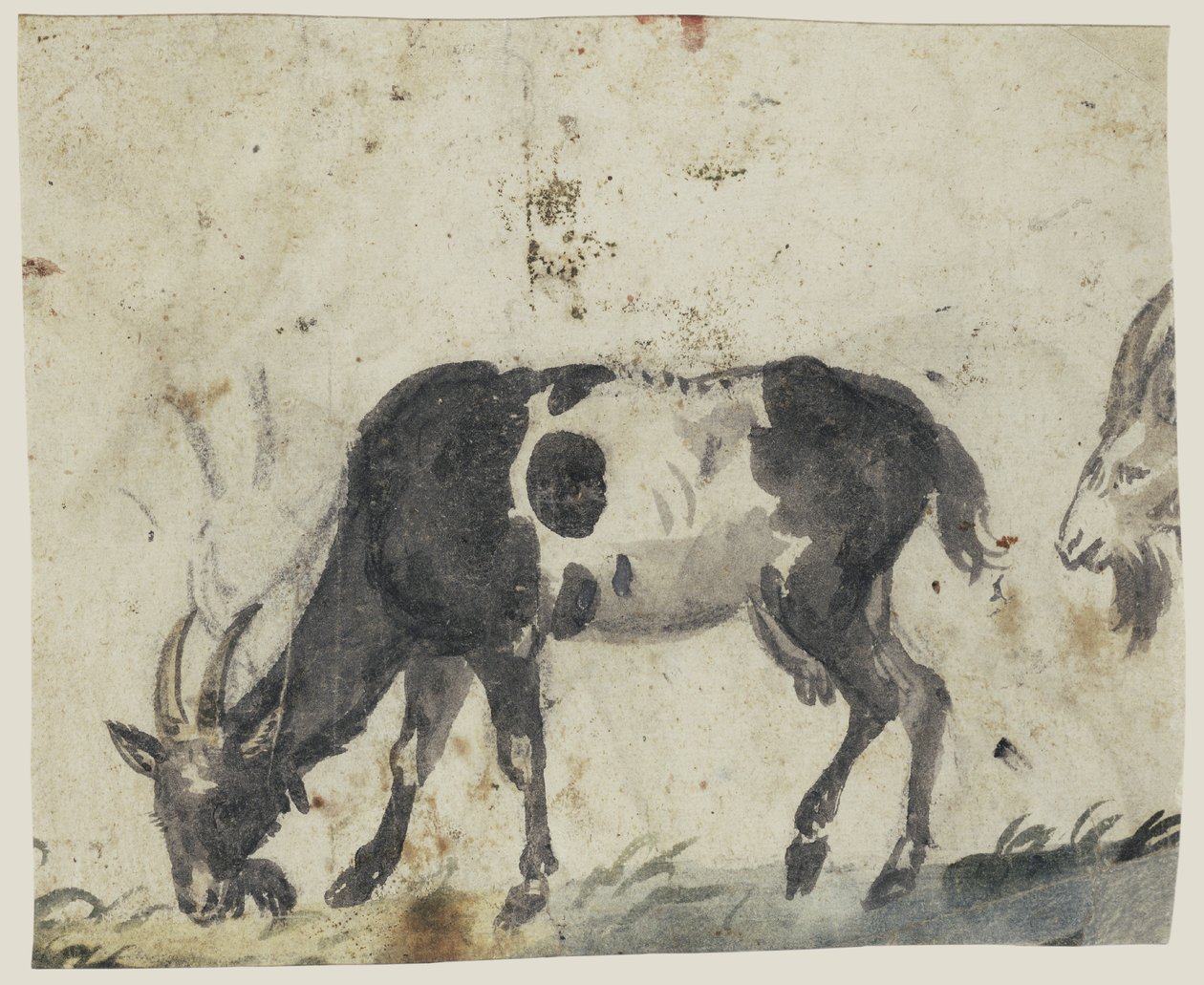 Study with Goats by Lucas Cranach the Elder