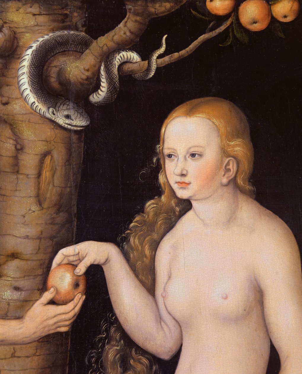 Eve Offering the Apple to Adam in the Garden of Eden and the Serpent (detail) by Lucas Cranach the Elder
