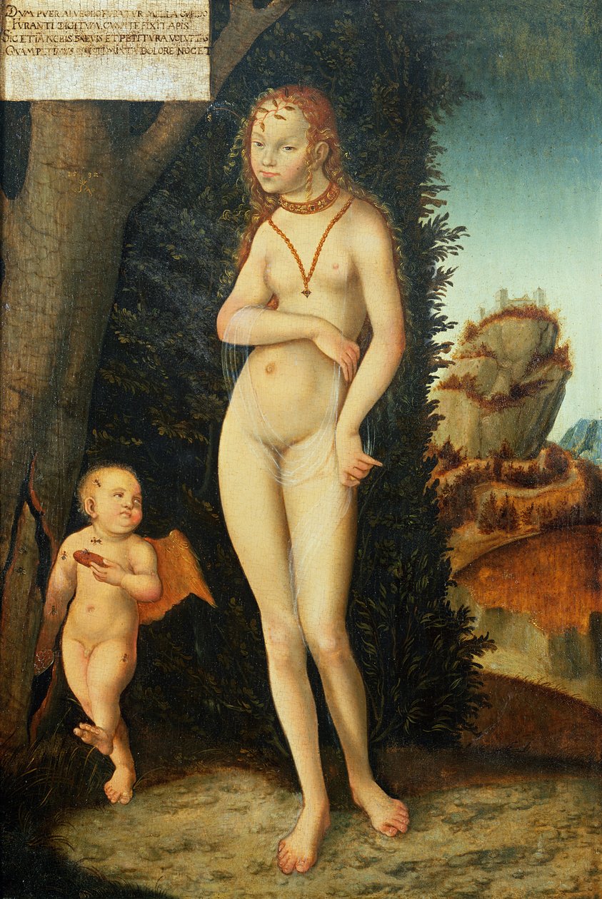 Unknown Image by Lucas Cranach
