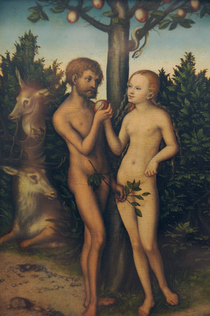 Adam and Eve by Lucas Cranach the Elder