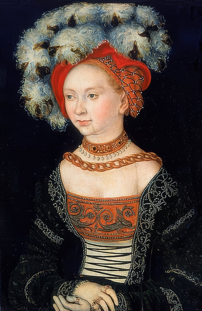 Portrait of a Lady by Lucas Cranach the Elder