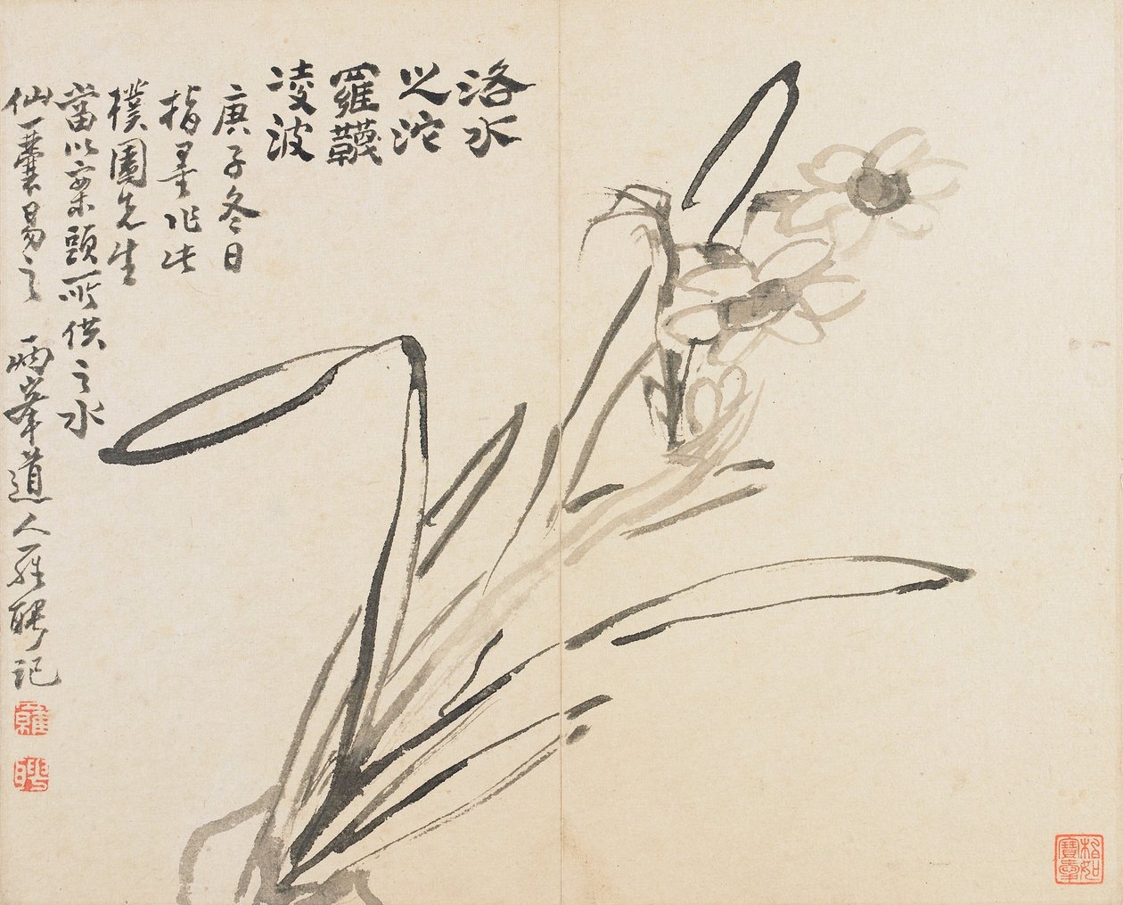 Landscapes, Flowers and Birds - Narcissus by Luo Ping