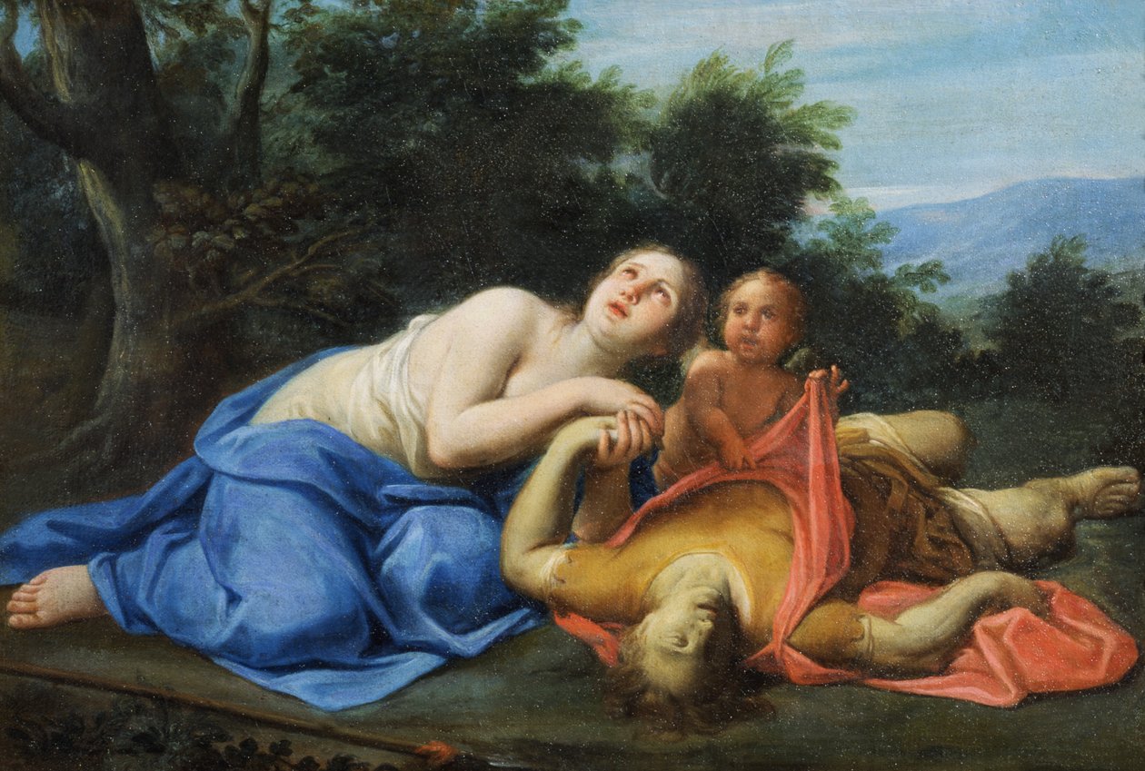 Unknown Image by Marcantonio Franceschini