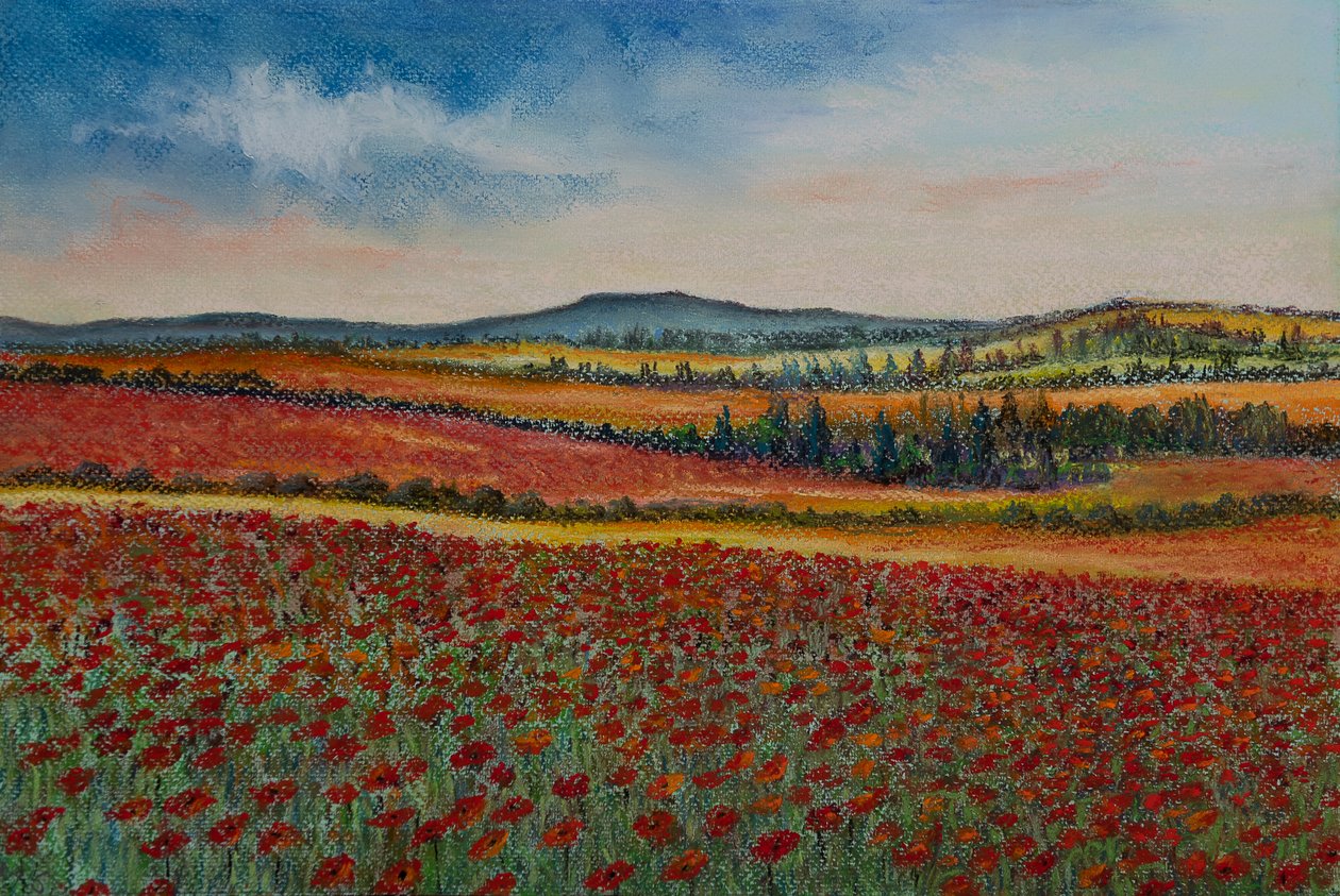 Poppy fields..Flanders by Margo Starkey