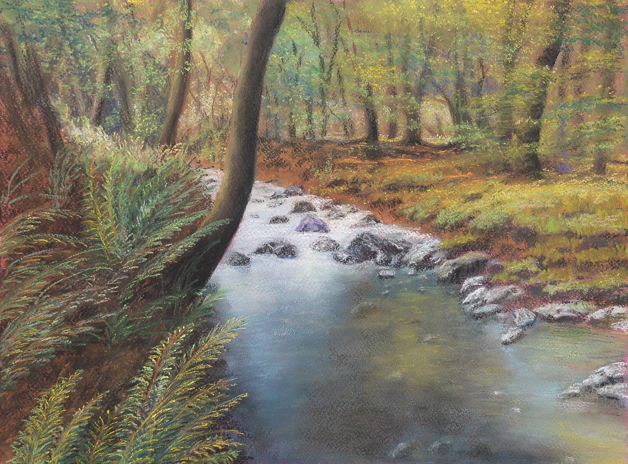 Springtime in woods by Margo Starkey