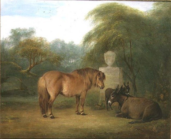 Pony and Donkeys in a Glade by Maria Spilsbury