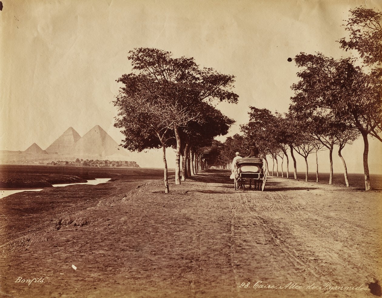 Cairo. Avenue of Pyramids by Maria Sibylla Merian