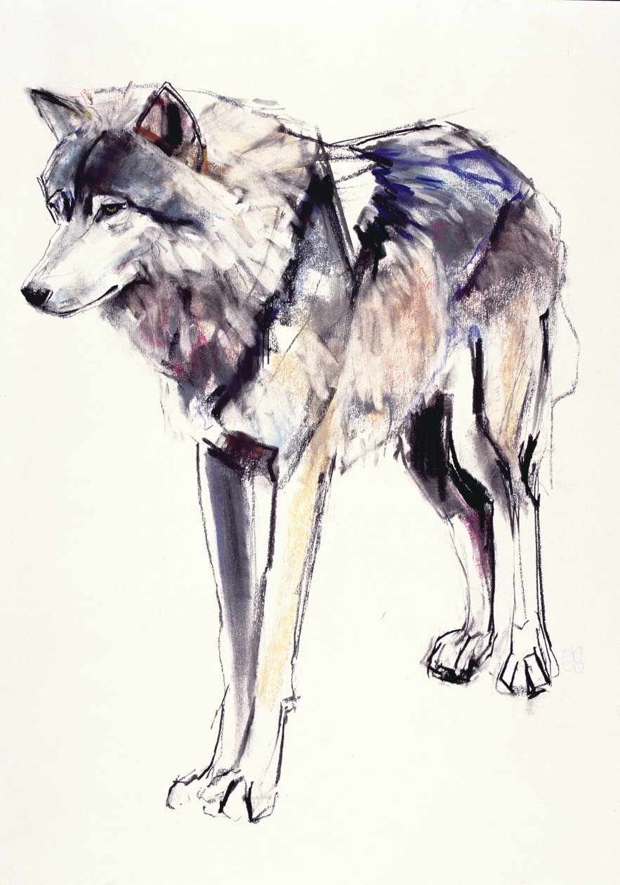 Alpha by Mark Adlington