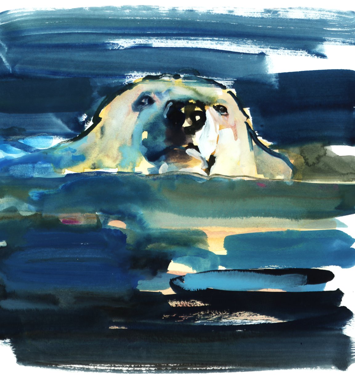 Arctic Swim by Mark Adlington