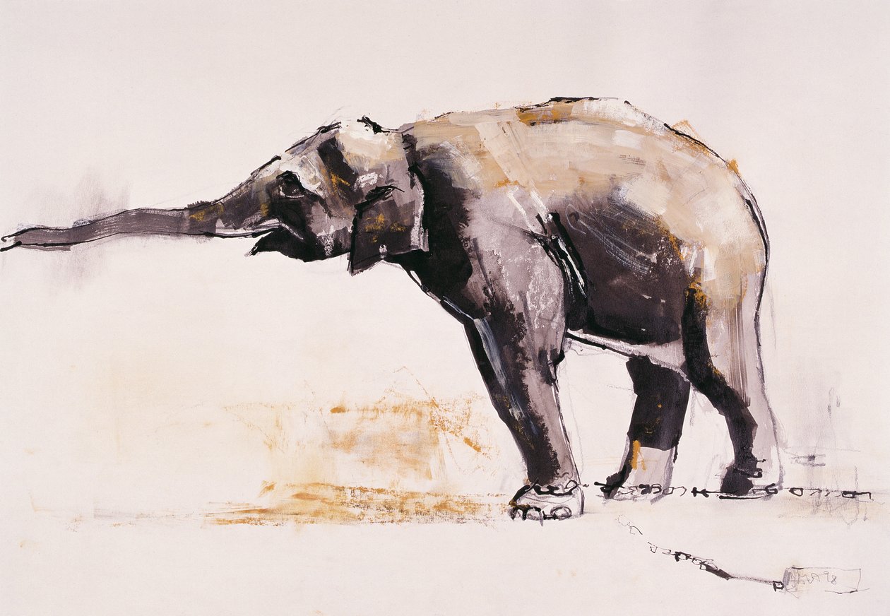 Indian Elephant, Khana by Mark Adlington