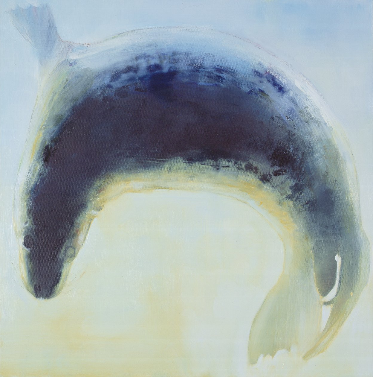 Seal Circle by Mark Adlington