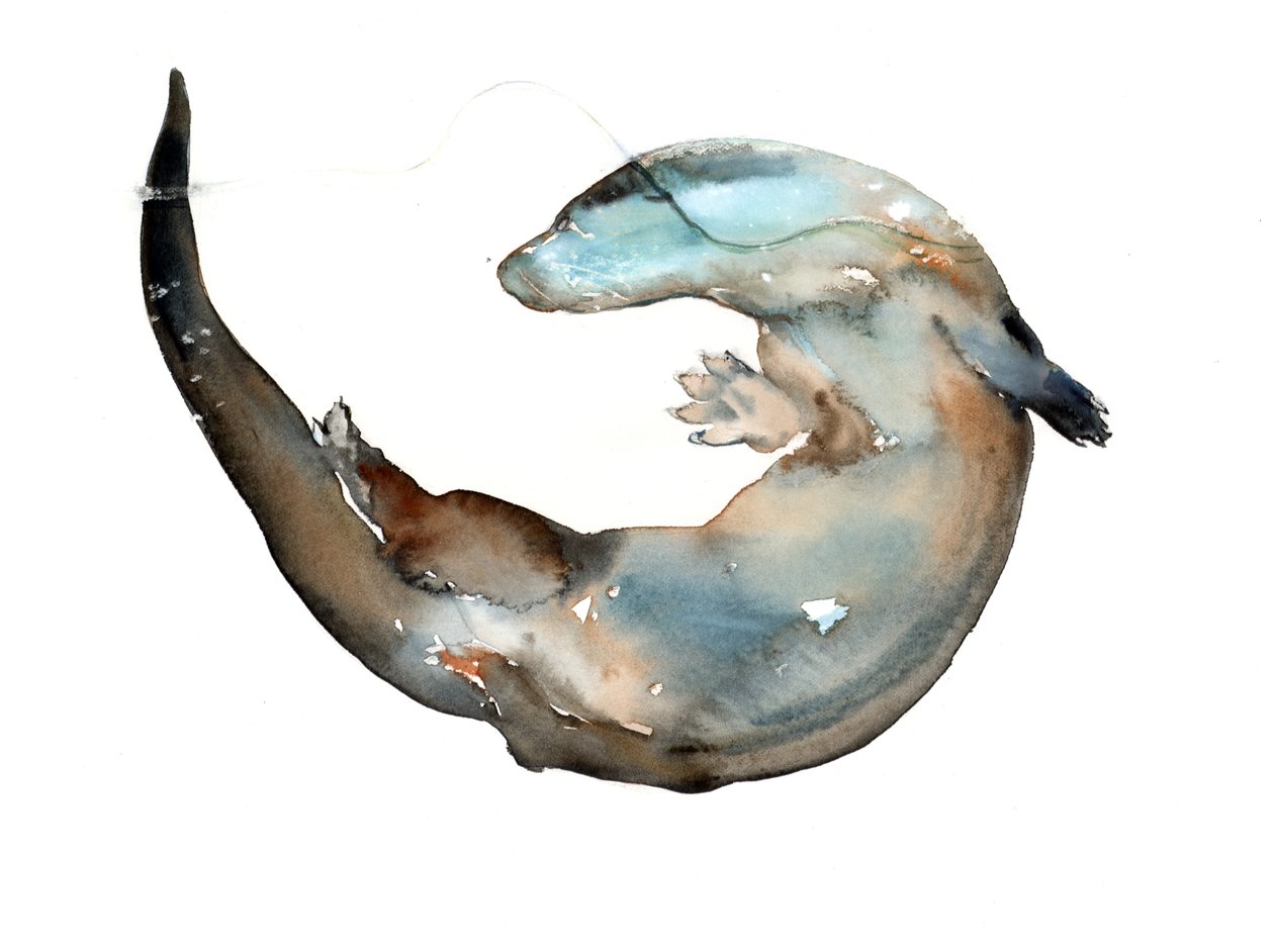 Unknown Title by Mark Adlington
