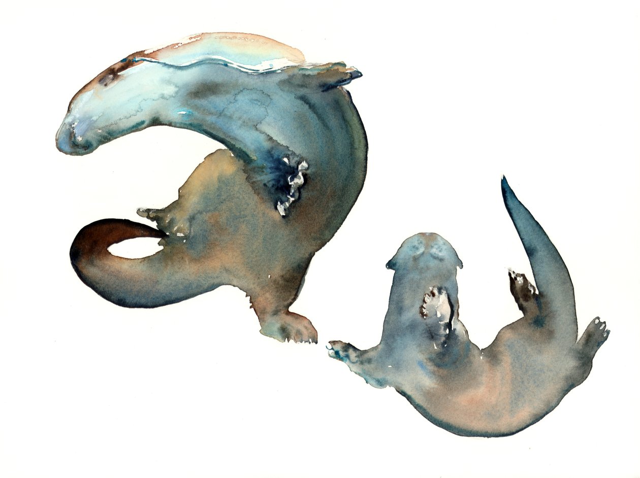 Unknown Title by Mark Adlington