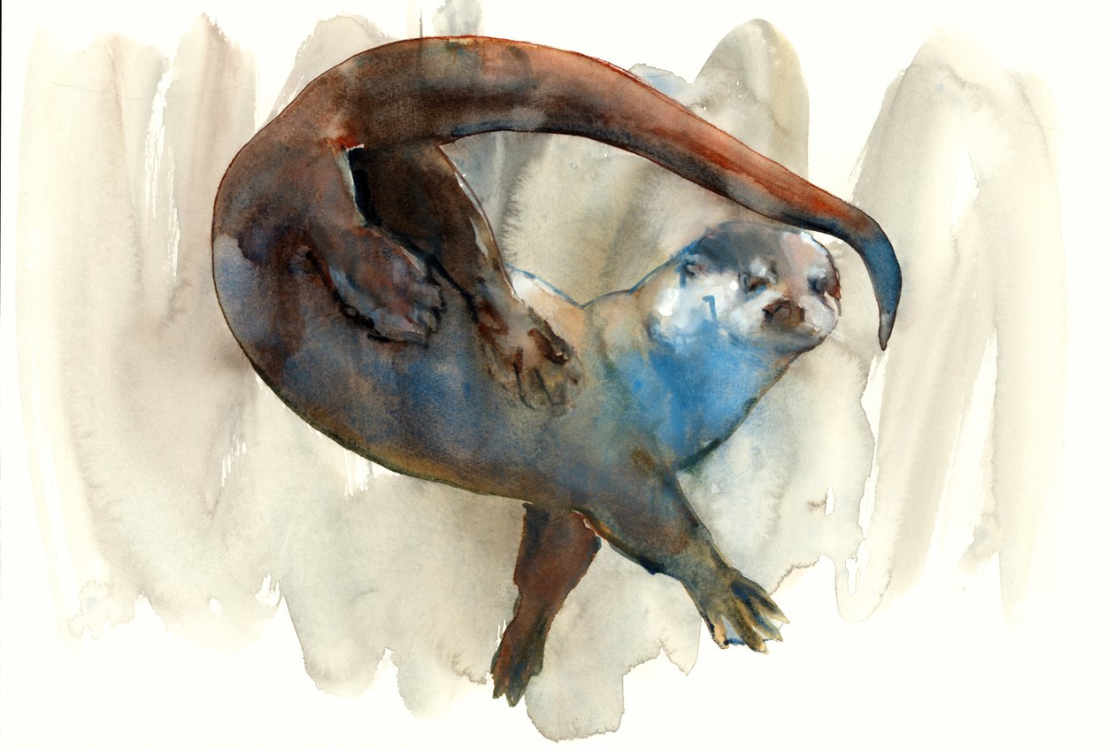 Unknown Title by Mark Adlington