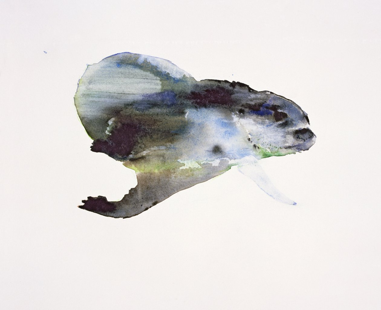 Underwater by Mark Adlington