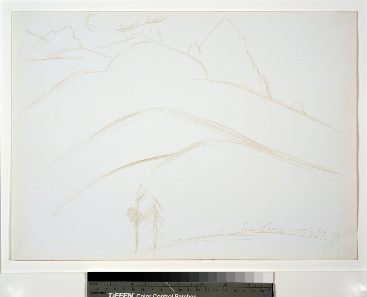 Mountain Landscape with Two Pine Trees by Marsden Hartley
