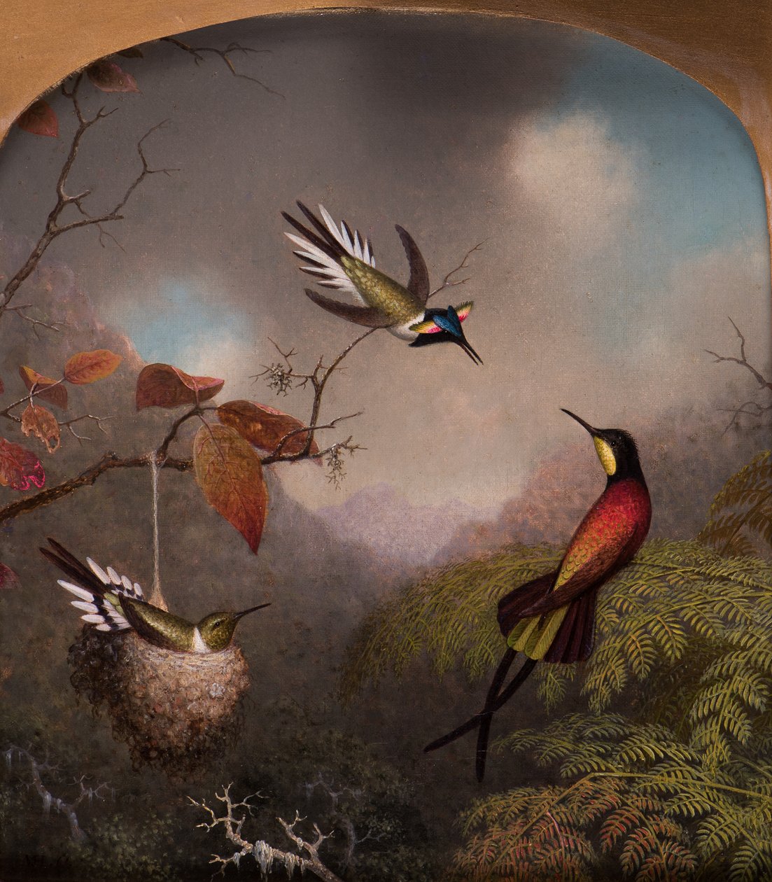 Hummingbirds: Two 