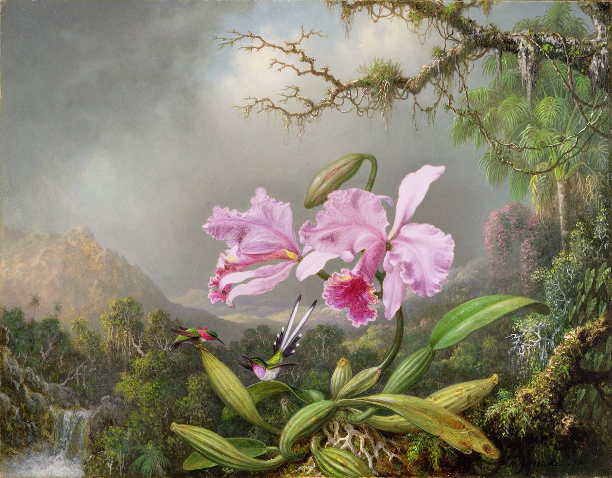 Study of an Orchid, 1872 by Martin Johnson Heade