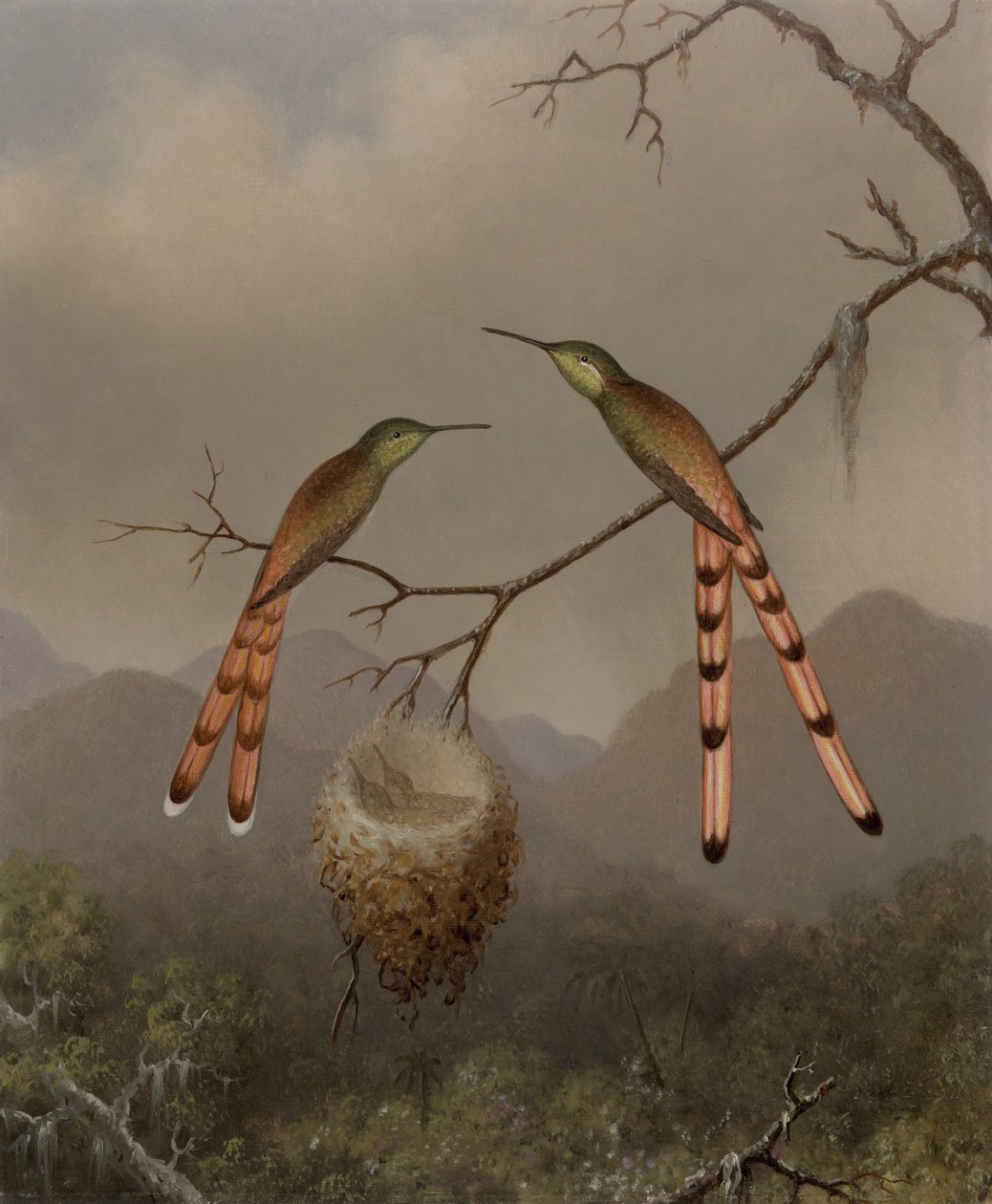 Two Hummingbirds with Their Young by Martin Johnson Heade