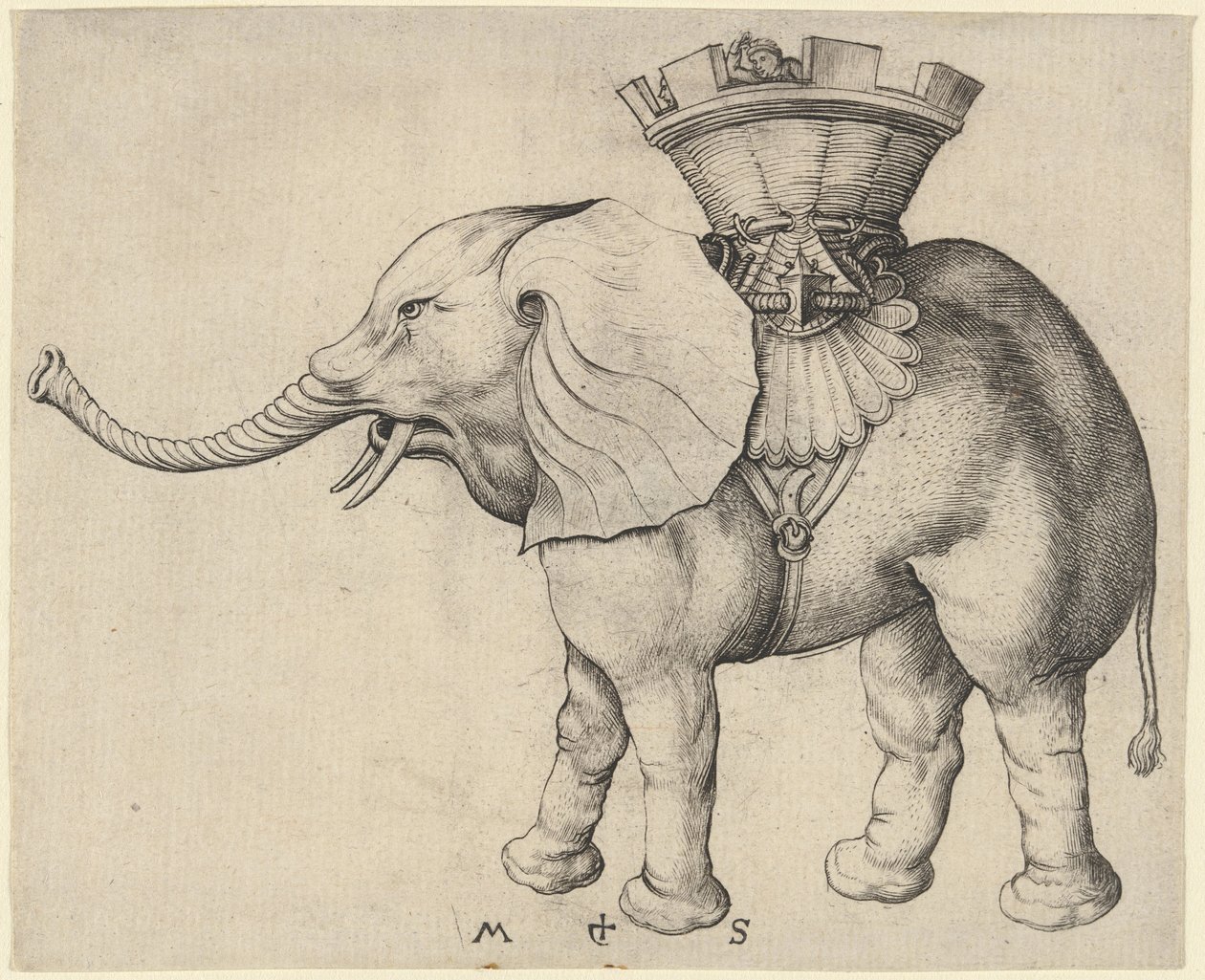 Elephant by Martin Schongauer