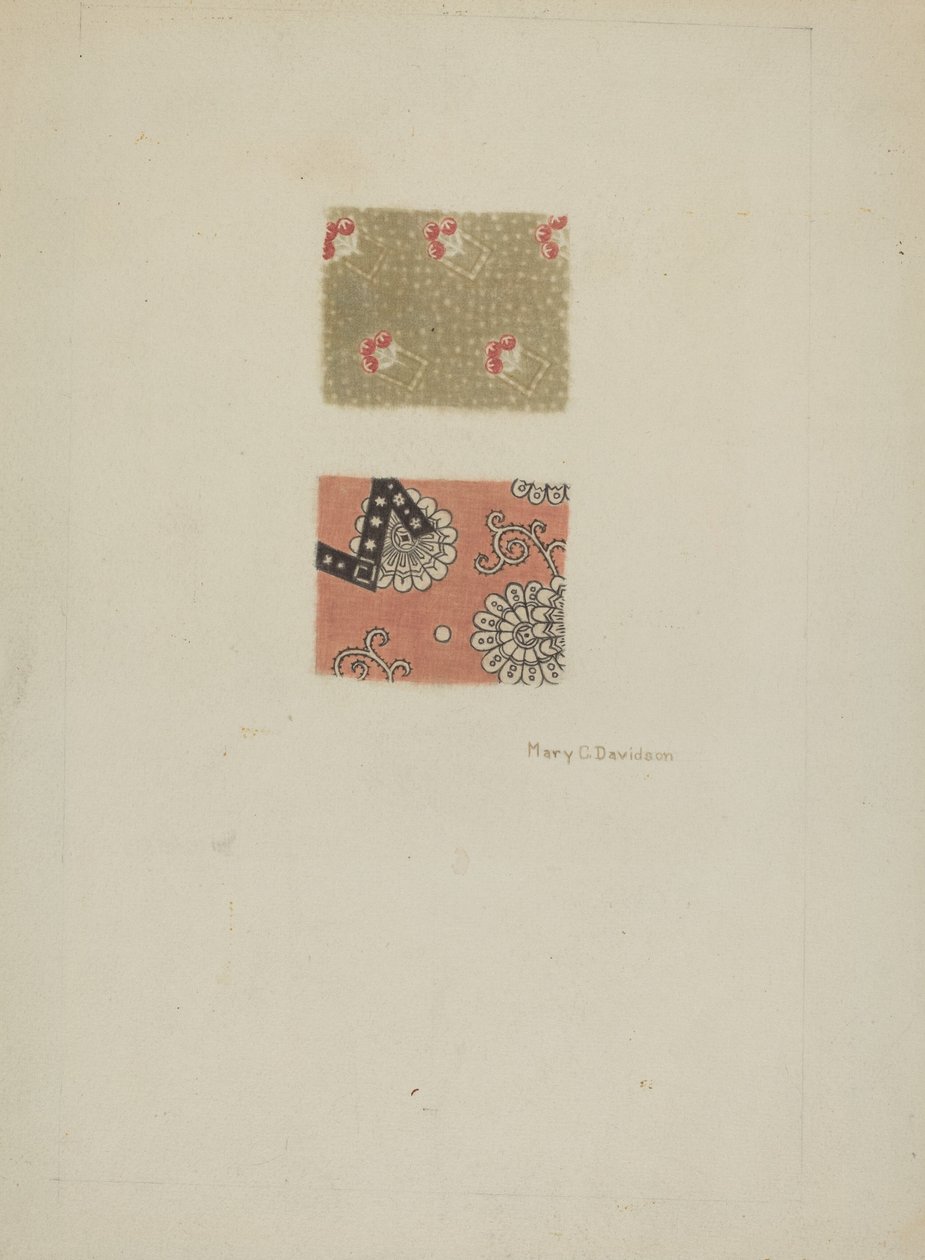 Printed Cotton by Mary C. Davidson
