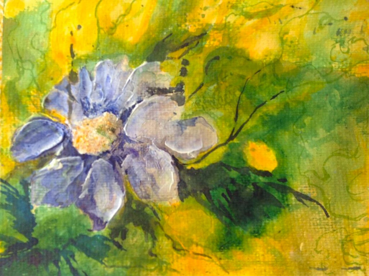 Clematis in the Evening Sun by Mary Smith