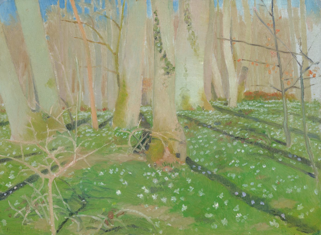 Forest with anemonies by Maurice Denis